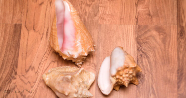 Conch Meat 101: Tips for Buying, Cooking, and Enjoying the Delicious Delicacy