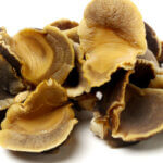 Conch Meat 101: Tips for Buying, Cooking, and Enjoying the Delicious Delicacy 2 Conch Meat