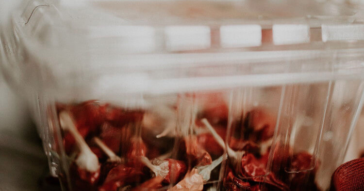 Best Meat Storage Containers: Guide to Buying and Preserving Meat Safely 1 Meat Storage Container