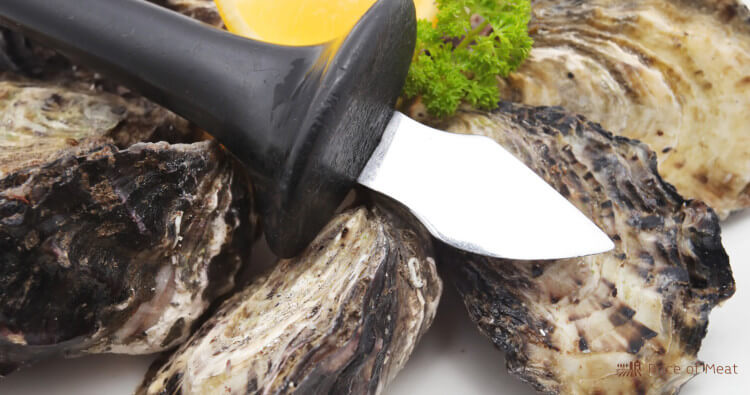 5 Best Oyster Knives for Effortless Shucking