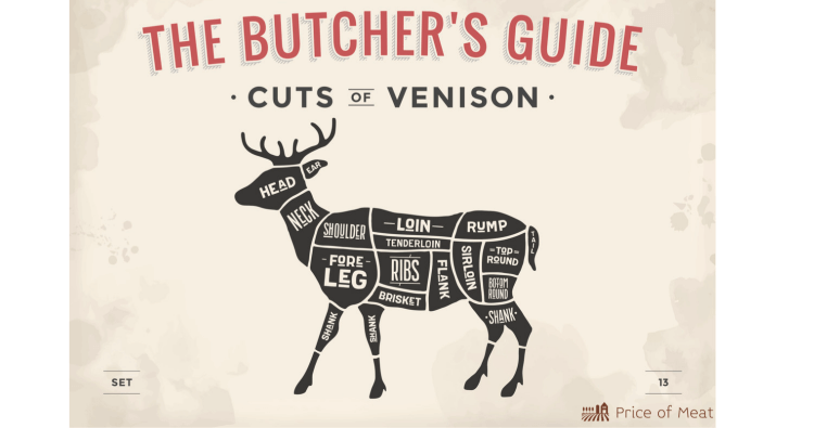 Venison Cuts 6+ Types of Brisket: Differences, Taste & Examples