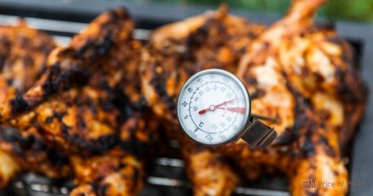 Chicken with Meat Thermometer 5 Steps for How to Make Chicken Not Stick to Grill