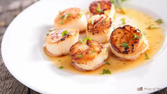 Scallops