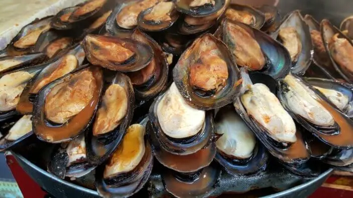 Scallops