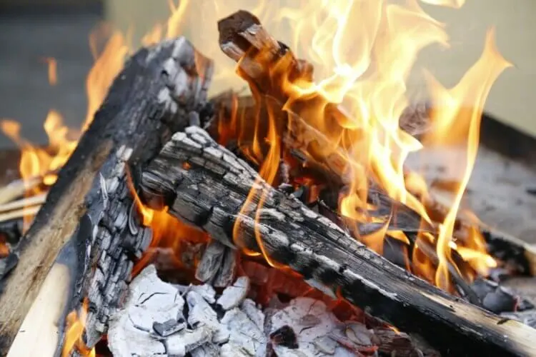 Smoking Meat