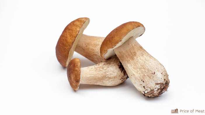 What Is Porcini Rub?