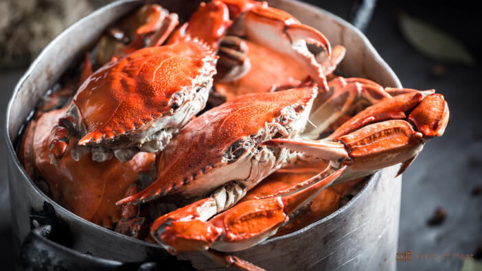 Why Cooking Crabs Alive Is a Controversial Practice