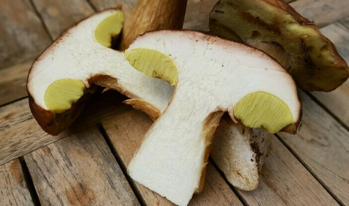 Top 13 Meatloaf Side Dishes to Complement Your Meal 7 Porcini Mushroom