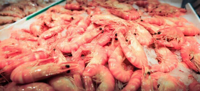 Raw Shrimp