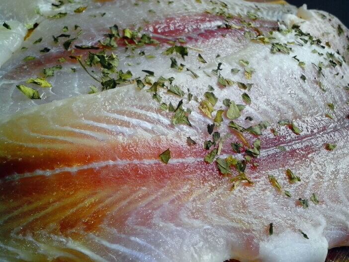 Discover the Flavor of Shark Meat: What Does it Taste Like? 3 Shark Meat