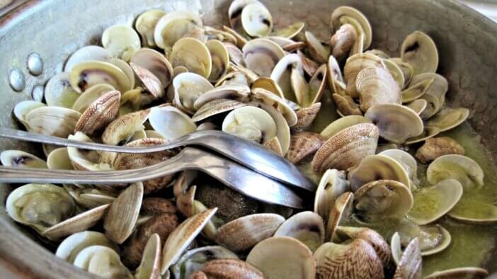 Shellfish