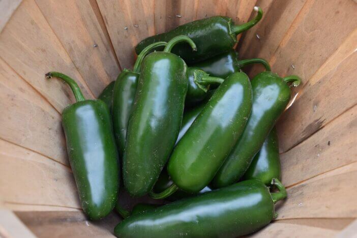 Jalapeno slices add a spicy kick to pulled pork sandwiches.