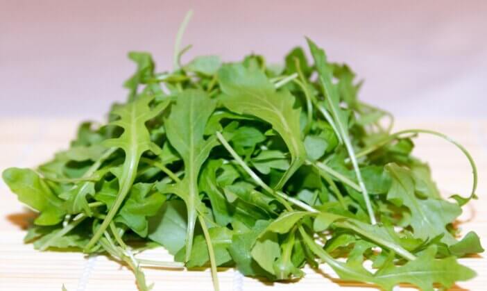arugula_524262