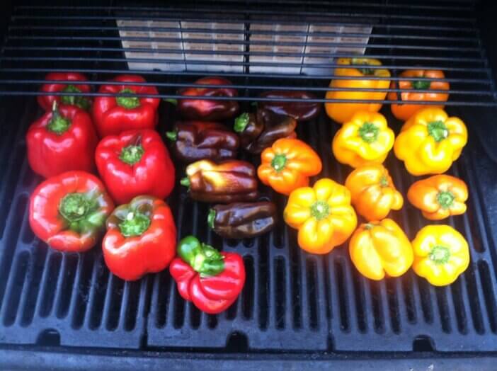 grilled-bell-peppers_4552156