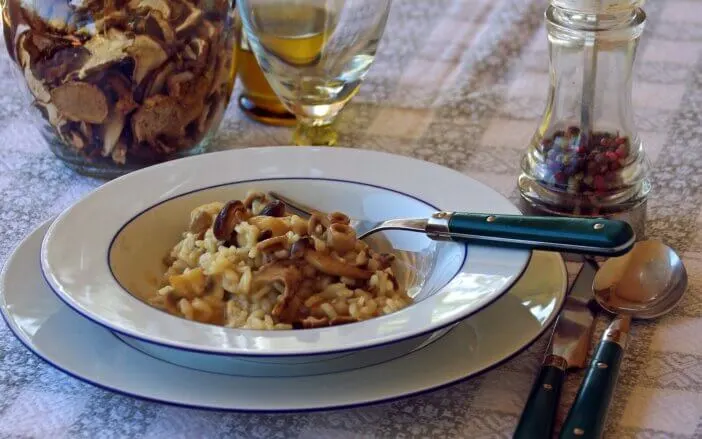 mushroom-risotto_1905433