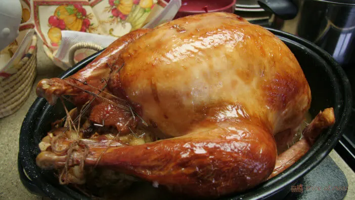pros and cons of using a turkey roaster