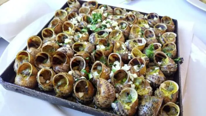 cooking-snail_2872417