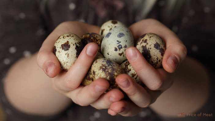 How to Prepare Quail Eggs for a Delicious and Healthy Meal