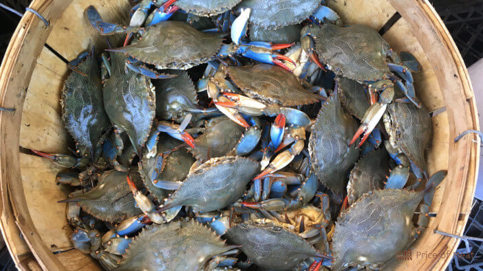 how to store blue crab