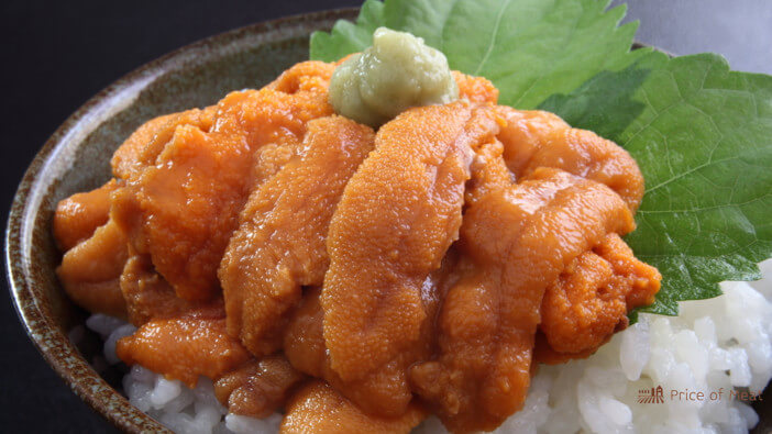 Sea Urchin Taste Explained: A Culinary Adventure 1 what do sea urchins taste like