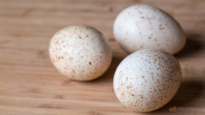Turkey Eggs: Nutritional Value, Taste, and Cooking Tips 1 what do turkey eggs taste like