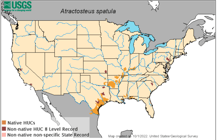 Alligator Gar Habitat Range