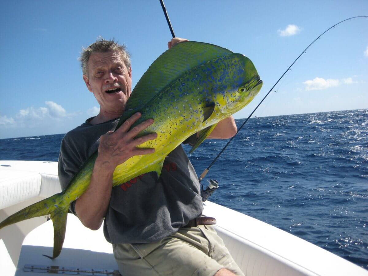 5 Essential Tips What Does Mahi Mahi Taste Like?