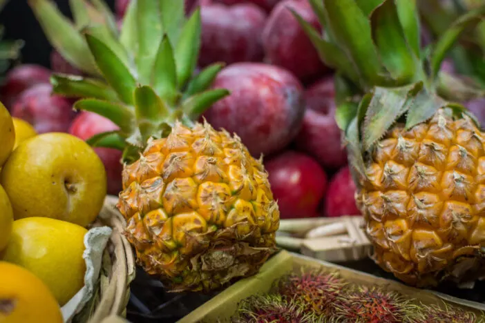 Baby pineapples at market