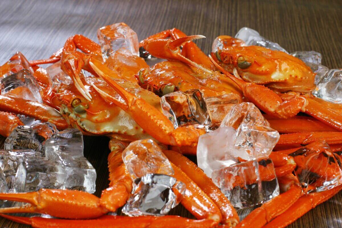 Testing Crab 6 Best Tasting Crab Species You Need to Try