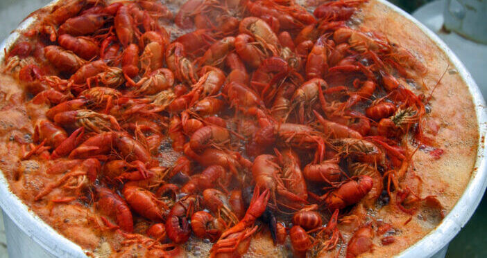 7+ Reasons You Need a Crawfish Pot and Burner for Your Next Seafood Boil 1 Crawfish in a pot of boiling spicy water.