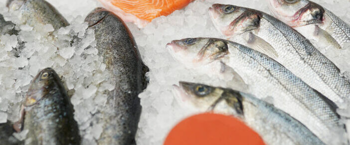 fish in a cooler filled with ice