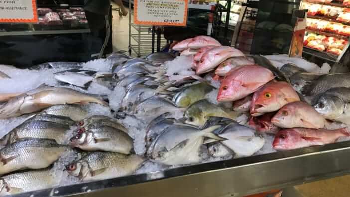 fish market