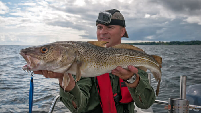 9+ Best Saltwater Fish Perfect for Your Next Meal 1 best saltwater fish