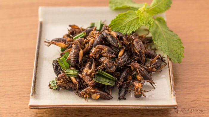 15+ Best Tasting Insects to Try for a Protein-Packed Meal 1 best tasting insects