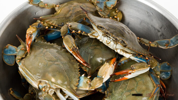 different crab species