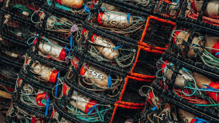 5+ Reasons Overfishing Leads to Ecosystem Collapse & How to Prevent It 3 overfishing