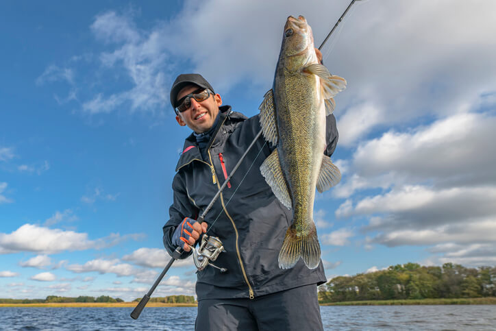 Success zander fishing. Happy fisherman with big walleye fish trophy at lake