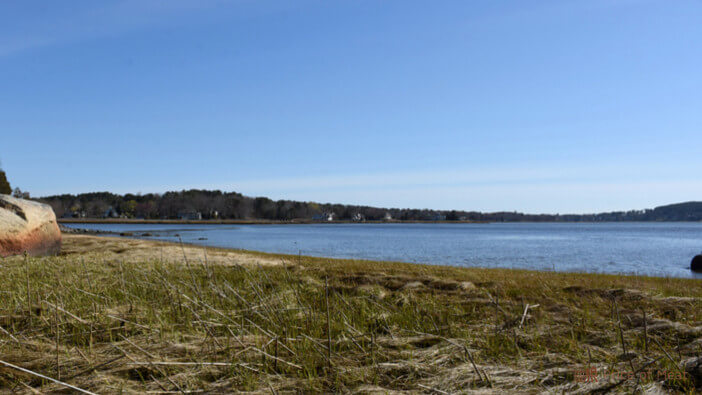 4+ Reasons Why Duxbury Bay Oysters Make for a Perfect Seafood Feast