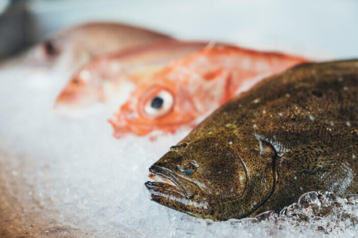 hirame flounder Sushi-Grade Fish: 5+ Characteristics to Watch for