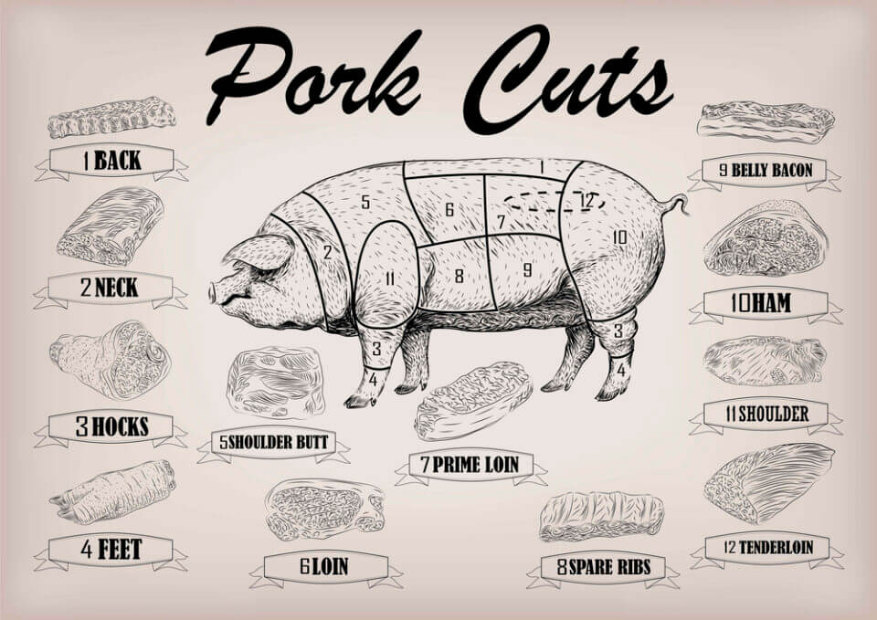 13+ Best Cuts of Pig to Make Your Meals Tastier