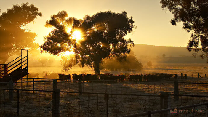 10+ Fascinating Facts About the Largest Cattle Ranch in the US 1 largest cattle ranch in us