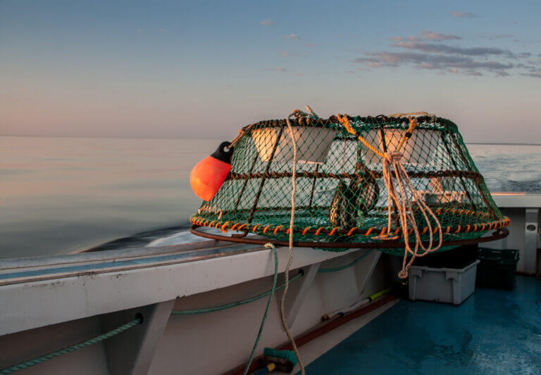 5+ Tips for Making the Perfect Crab Traps