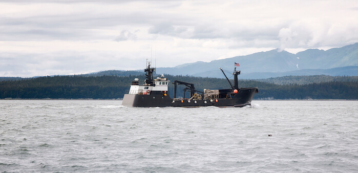 Alaska Lobster vs Maine Lobster: They Are Not What You Think