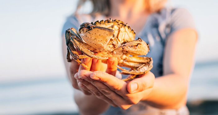 best places to go crabbing 6 Top Spots for Crabbing in Georgia: Savor the Catch!