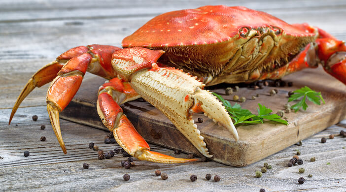 10+ Best Ways to Eat Crab for a Memorable Meal 1 best ways to eat crab 10+ Best Ways to Eat Crab for a Memorable Meal