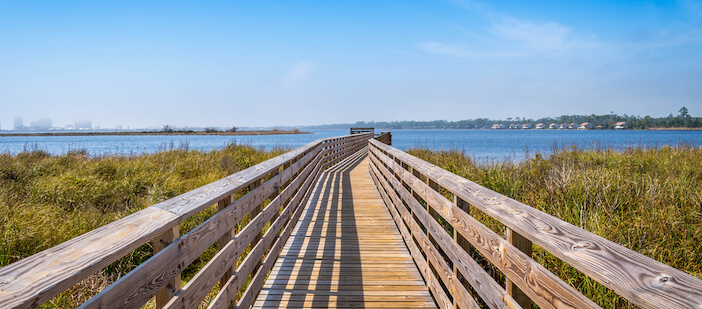 5+ Reasons Why Crabbing in Gulf Shores is the Perfect Summer Adventure