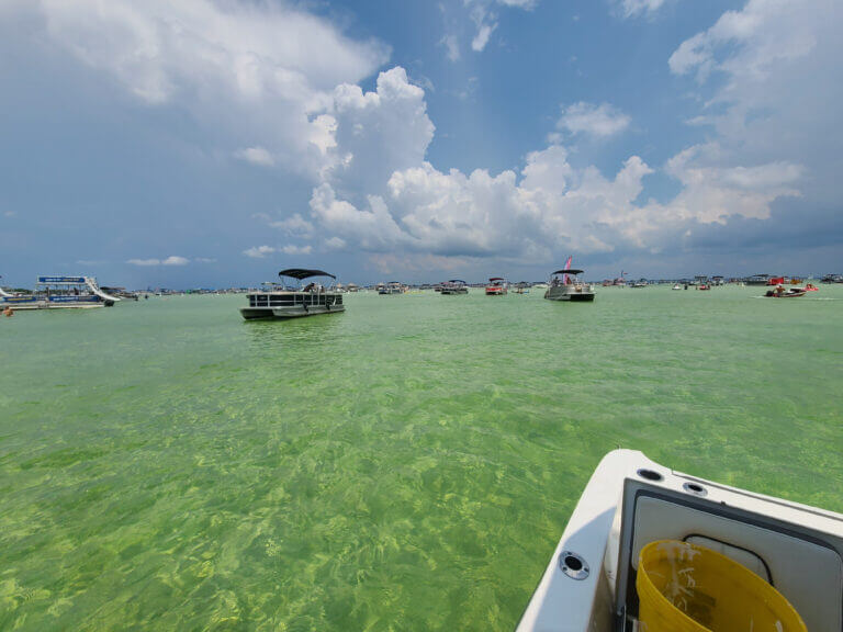 5+ Essential Tips for Enjoying the Best Crabbing in Florida