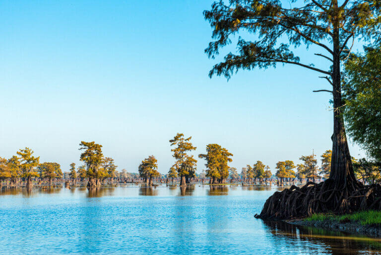 4+ Reasons Why Crabbing in Louisiana is a Must-Do Adventure