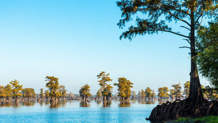 4+ Reasons Why Crabbing in Louisiana is a Must-Do Adventure