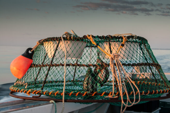 Fishing Trap